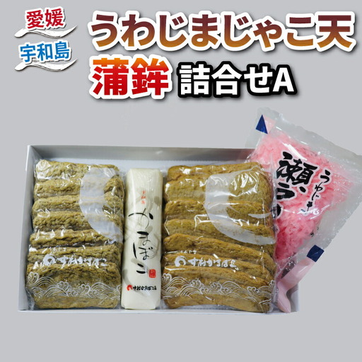 練物 じゃこ天 天ぷら 蒲鉾 詰め合わせ A 中村かまぼこ店 練物 C012-013001