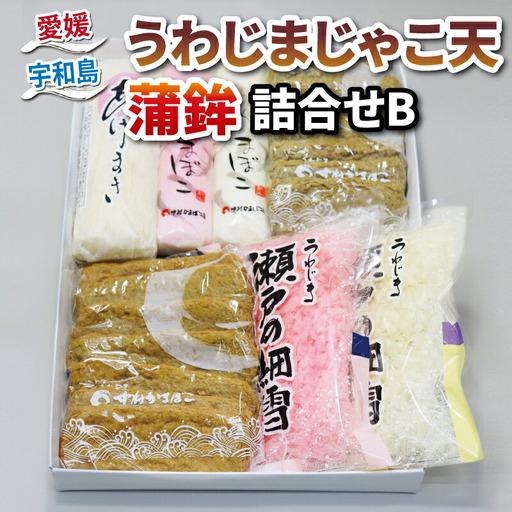 じゃこ天 蒲鉾 詰め合わせ Bセット 中村かまぼこ店 蒲鉾 C018-013002