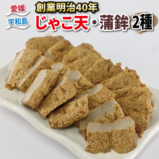 じゃこ天 蒲鉾 2種 セット 野中かまぼこ店 蒲鉾 C010-014001