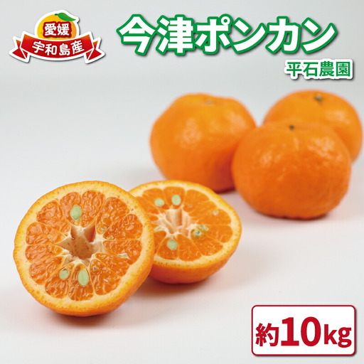 【みかん】 ポンカン10kg 家庭用 平石農園 みかんB011-017003