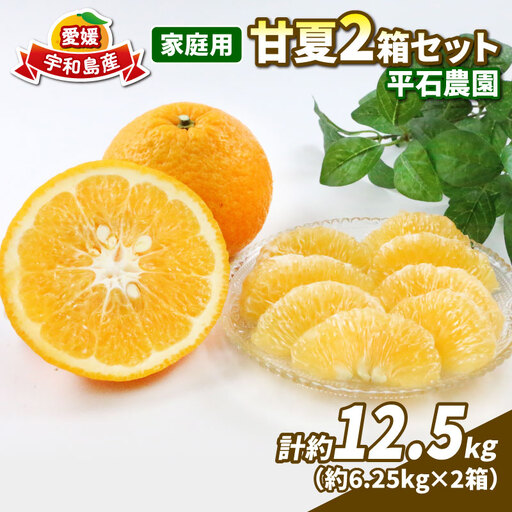 甘夏 12.5kg 家庭用 平石農園 甘夏 B010-017004