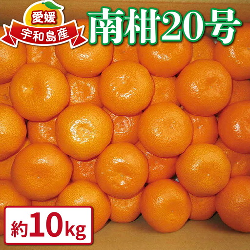 【愛媛みかん】 南柑20号 10kg WF みかん B015-024002