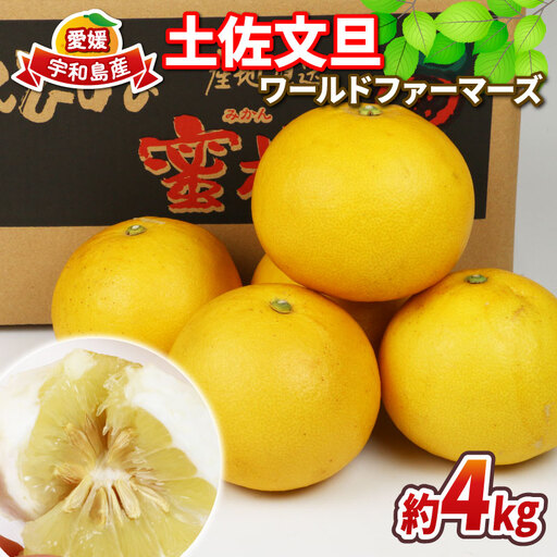 愛媛みかん 土佐文旦 4kg ワールドファーマーズ 家庭用 ぶんたん 文旦 分担 果物 くだもの フルーツ 柑橘 蜜柑 みかん mikan ミカン 愛媛みかん 愛媛ミカン 愛媛県産 産地直送 農家直送 数量限定 国産 愛媛 宇和島