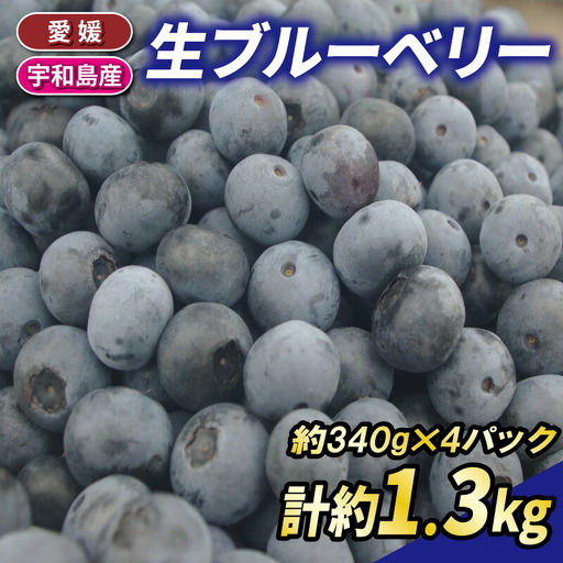 生ブルーベリー 約1.3kg 南四国ファーム ベリー F013-035006