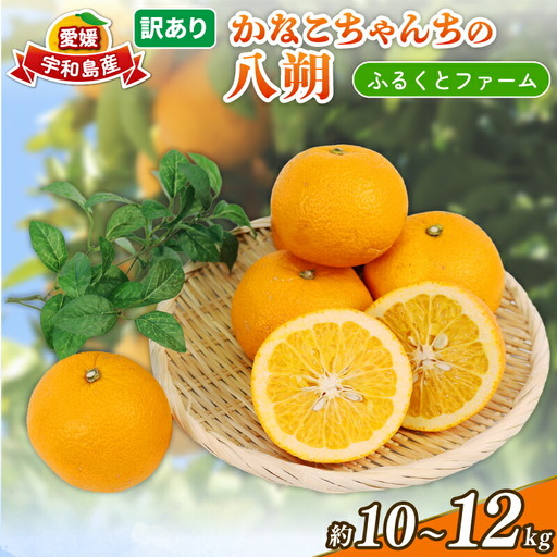 訳あり 八朔 10~12kg 訳あり ふるくとファーム かなこちゃんち
