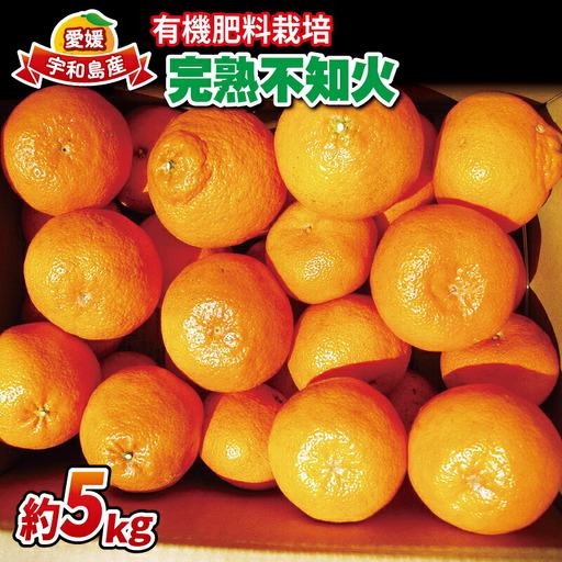 不知火 ( デコポン と同品種) 5kg 有機肥料栽培 デコポン ほんとのみかん清家農園 B018-040001