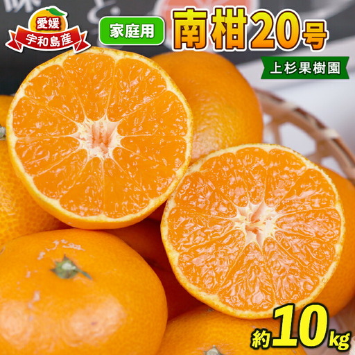 【 みかん 】みかん南柑20号10kg家庭用上杉果樹園|B012-056002