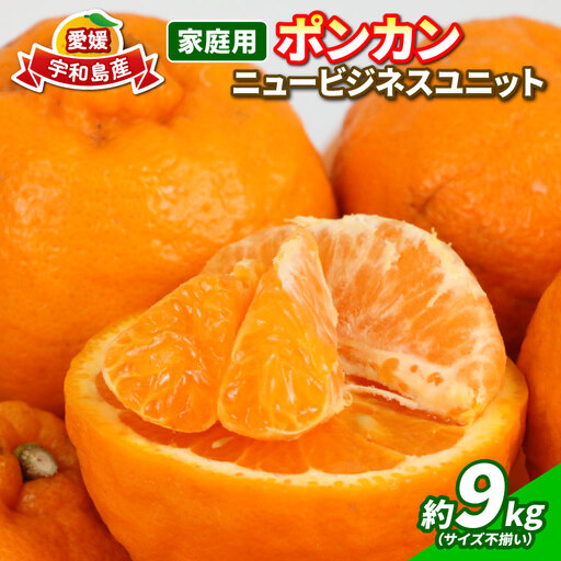 【ポンカン】冬の柑橘ポンカン 9kg NBU B015-058003