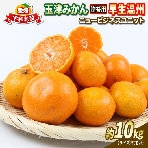 贈答用 優品 愛媛 みかん 早生 温州 10kg サイズ不揃い NBU B018-058004