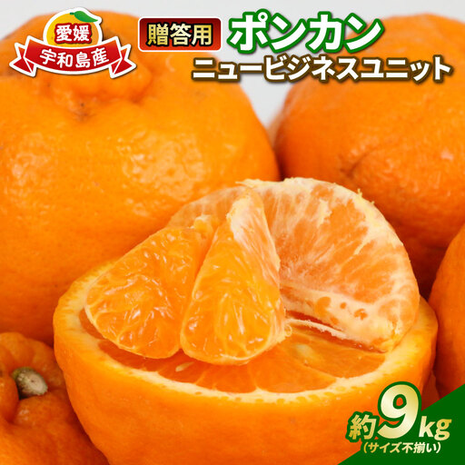 [ポンカン]冬の柑橘ポンカン 9kg ニュービジネスユニット