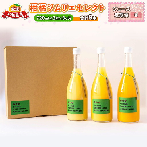 ジュース定期便 3回 720ml × 3本 計9本 柑橘ソムリエ 定期便 H040-064002
