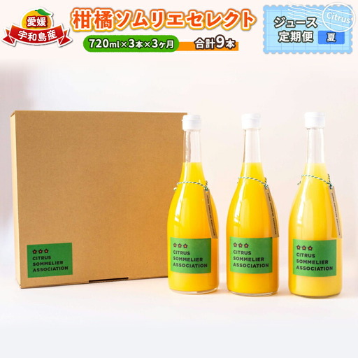 ジュース 定期便 3回 720ml × 3本 柑橘ソムリエ ジュース H040-064003