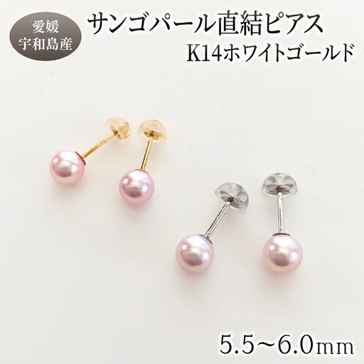 サンゴ パール 直結 ピアス 5.5-6.0mm ホワイトゴールド 松本真珠 ピアス