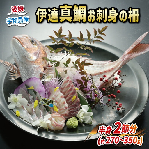 伊達真鯛 刺身 柵 宇和島プロジェクト 真鯛 D012-071002