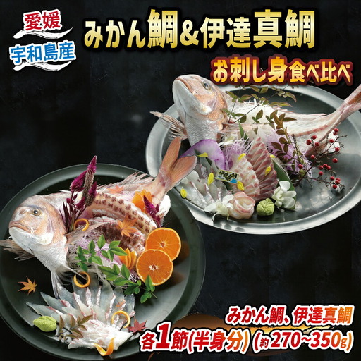 みかん 鯛 ＆ 伊達 真鯛 270g ~ 350g 刺身 宇和島プロジェクト D012-071003