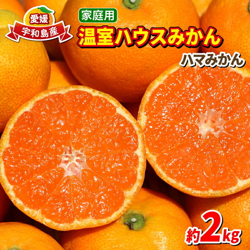 ハウスみかん 2kg家庭用ハマみかん B015-075004