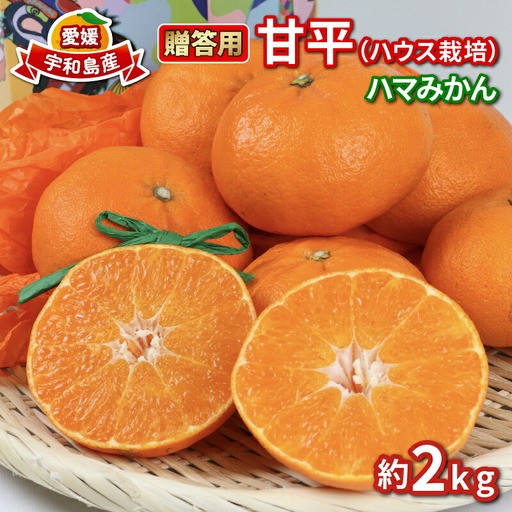 甘平 高級柑橘 2kg 贈答用 甘平 ハウス栽培 ハマみかん B020-075006