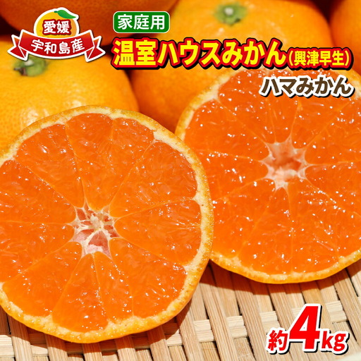 温室みかん 4kg 家庭用 ハマみかん 温室 B025-075007