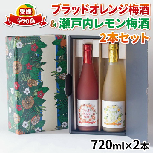 【全国梅酒品評会2021金賞受賞】 梅酒 ブラッドオレンジ 瀬戸内レモン 各1本 名門サカイ I018-085003