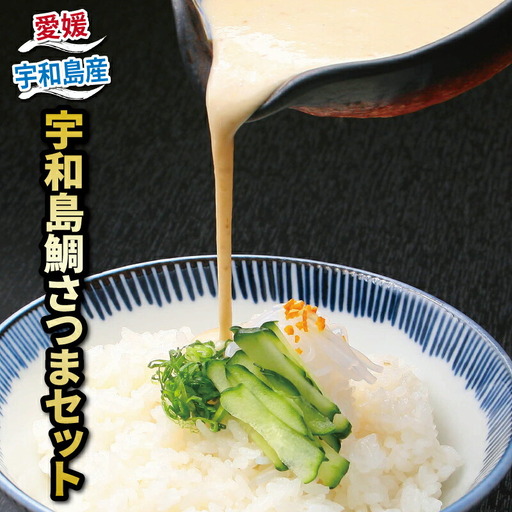 郷土料理 鯛 さつま セット 140g×4 和日輔 郷土料理 D010-091001