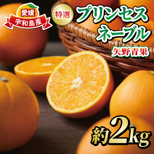 [柑橘] 特選プリンセスネーブル 2kg 矢野青果 柑橘