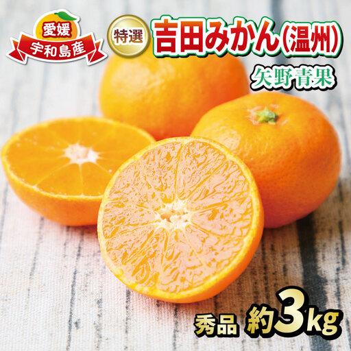 【温州みかん】特選吉田みかん温州約5kg矢野青果|B018-171044