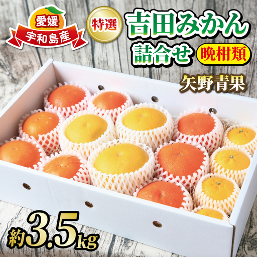 フルーツ贈答用柑橘詰合せ約3.5kg 矢野青果フルーツB018-171038