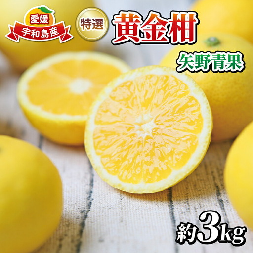 高級柑橘 黄金柑 3kg 矢野青果 黄金柑