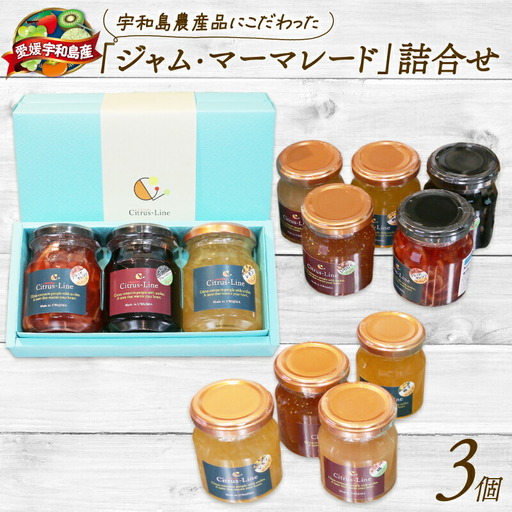 ジャム マーマレード 詰め合わせ 3個 Citrus-Line ジャム J012-098001