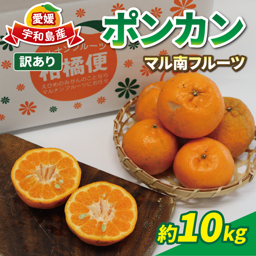 訳ありポンカン 10kg 不揃い マル南フルーツ みかん ﾎﾟﾝｶﾝ B010-106001