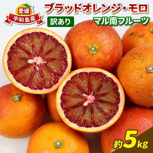 訳あり ブラッドオレンジ 5kg マル南フルーツ ブラッドオレンジ