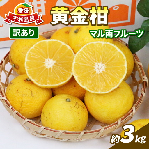 訳あり 黄金柑 3kg マル南フルーツ 黄金柑 B010-106010