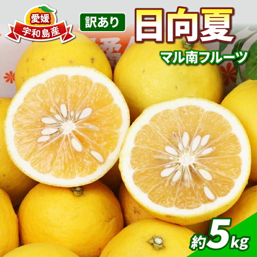 訳あり 日向夏 5kg マル南フルーツ 日向夏 B010-106013