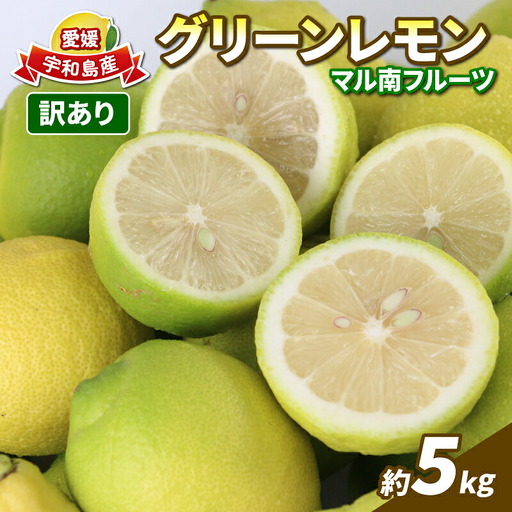 国産レモン 檸檬 レモン 訳あり グリーンレモン 5kg マル南フルーツ 先行予約 remon 愛媛県産レモン わけあり れもん 檸檬 レモン果汁 酸味 高級 希少 安心 果物 くだもの ビタミン 健康 フルーツ 訳アリ 訳あり品 柑橘 産地直送 数量限定 国産 愛媛 宇和島 B010-106016