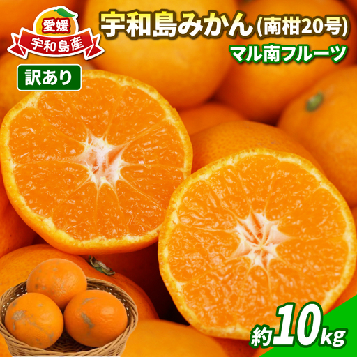 【訳あり】 みかん 南柑20号 約10kg マル南フルーツ B010-106018