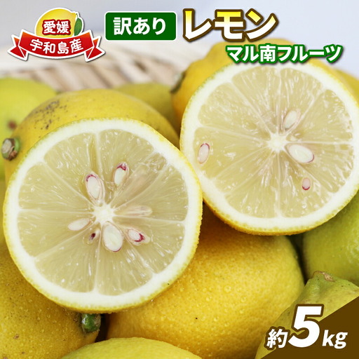 訳あり 檸檬 5kg マル南フルーツ 檸檬