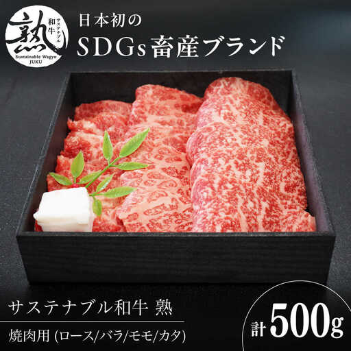 牛肉 焼肉セット 500g おまかせ [AIAT014] 和牛 焼肉セット