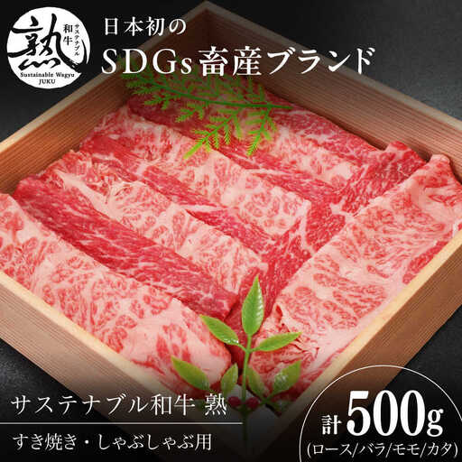 シャブシャブ すき焼き 厳選500g 和牛 [AIAT015] すき焼き