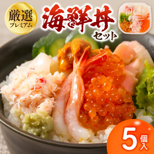 厳選!プレミアム海鮮丼セット 5個入 ( 海鮮丼 海鮮 イクラ ホタテ カニ ズワイガニ エビ 北海道 セット プレミアム 豪華 おつまみ 海の幸 )[094-0100]