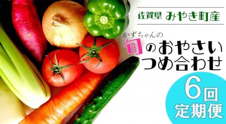 CC004_【6回定期便】かずちゃんの朝採り新鮮野菜セット毎月 6回お届け みやき町産