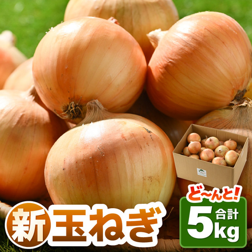 [先行予約]採れたて 新玉ねぎ 5kg(サイズ S M L ミックス)田んぼで育てた甘くて柔らか自慢の玉ねぎ!/ 常備 野菜 玉葱 たまねぎ 新鮮 ※2027年6月上旬以降順次発送予定 [aw056-a019]