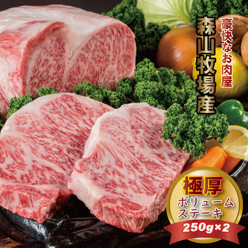 黒毛和牛 ロースステーキ 250g×2 ステーキ 牛肉  C270-001
