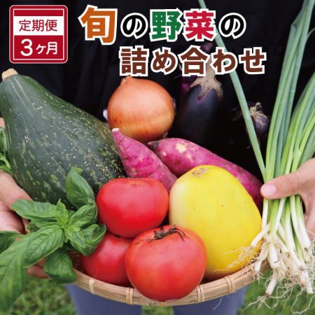 野菜定期便[3ヶ月連続]定期便 旬の野菜詰め合わせ 6〜7品以上 ja1