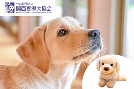 【返礼品相当額で盲導犬の育成を支援】支援額6,000円（記念品あり）盲導犬