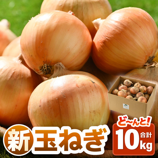 【先行予約】採れたて 新玉ねぎ 10kg（サイズ S M L ミックス）田んぼで育てた甘くて柔らか自慢の玉ねぎ！／ 常備 野菜 玉葱 たまねぎ ※2027年6月以降順次発送予定 [aw056-a020]