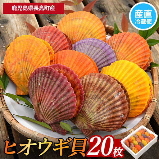 ＜先行受付＞長島特産！ヒオウギ貝(20個)【口之福浦ヒオウギ貝出荷グループ】 kuchi-7189