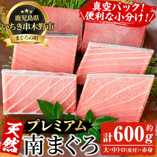 南まぐろ 約600g 大トロ＆中トロ＆赤身｜最高級 天然 南まぐろ【00-041-05】