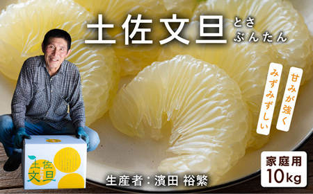 土佐文旦 10kg 家庭用 文旦