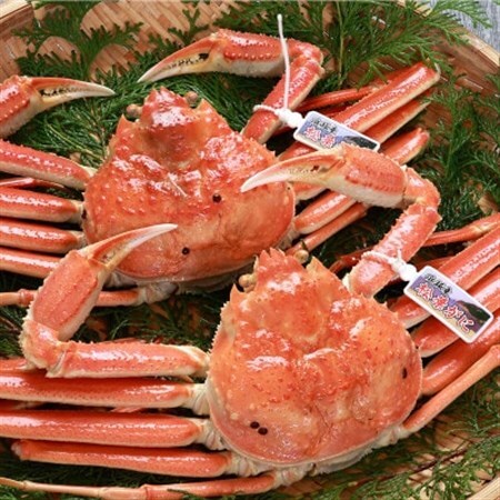 松葉ガニの本場より プロ茹で松葉ガニ(冷凍) 約400g×2枚[配送不可地域:離島]