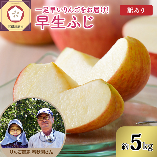 りんご　訳あり約5kg早生ふじ【2026年10月上旬発送】りんご